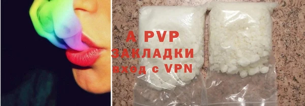 крисы Абаза