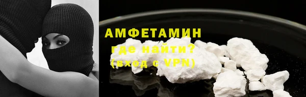 крисы Абаза