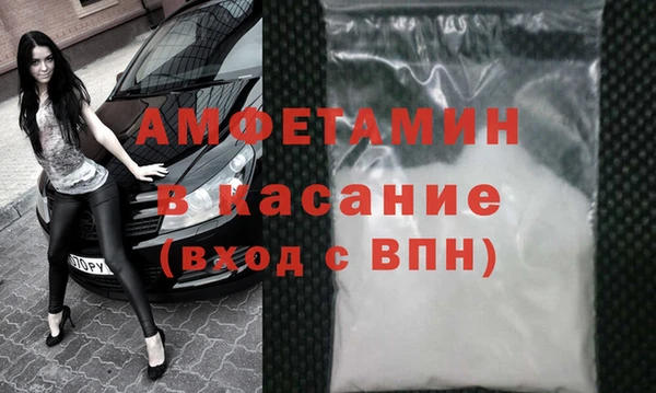 крисы Абаза