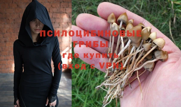 стафф Абинск