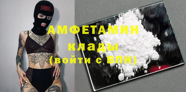 крисы Абаза