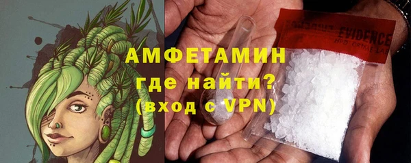 крисы Абаза