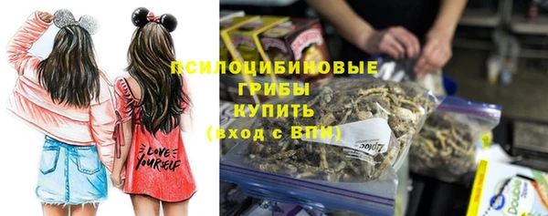 гидропоника Анжеро-Судженск