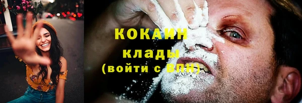 крисы Абаза