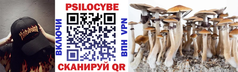 где купить наркоту  Никольск  Галлюциногенные грибы прущие грибы 